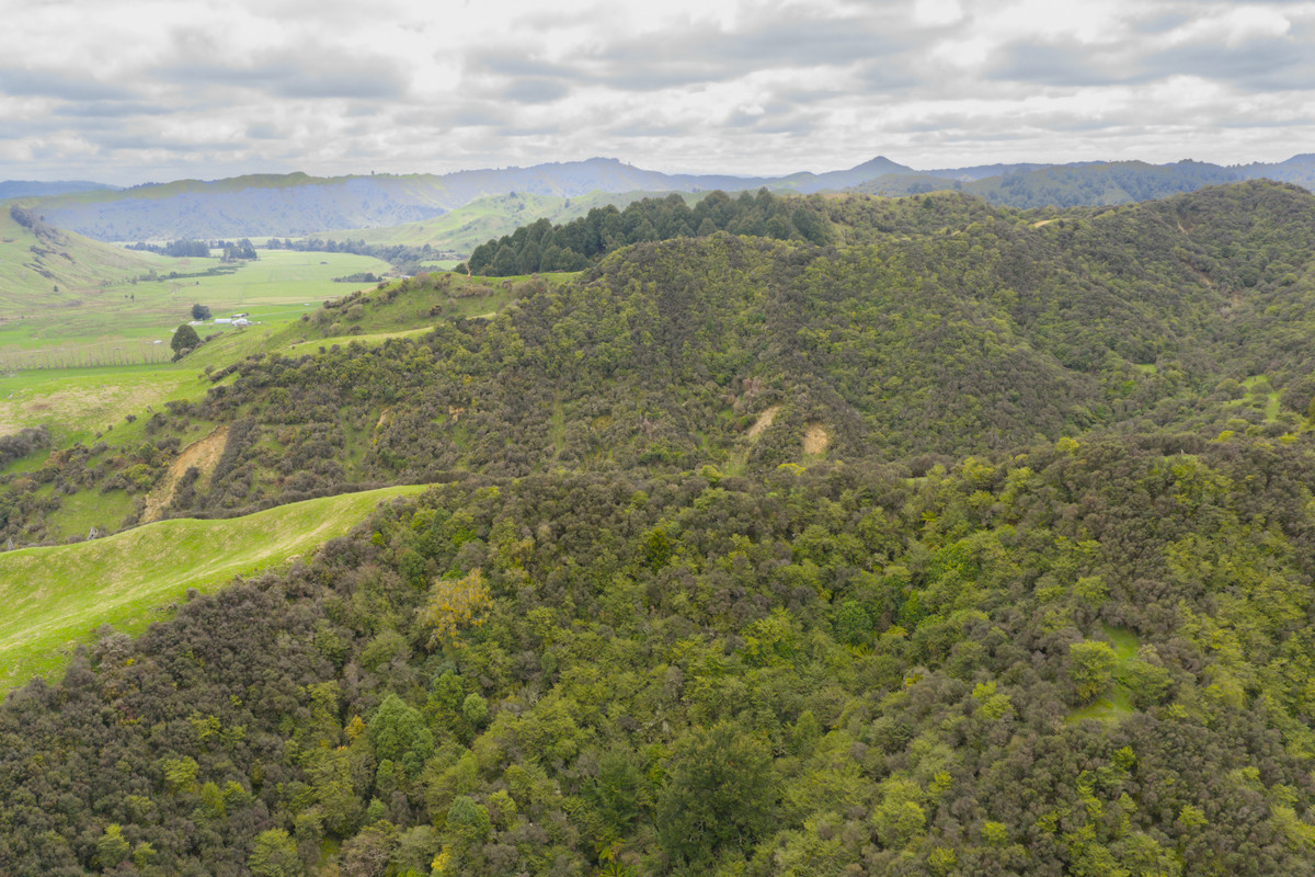 Kohunui - Stunning Country With Quality Soils