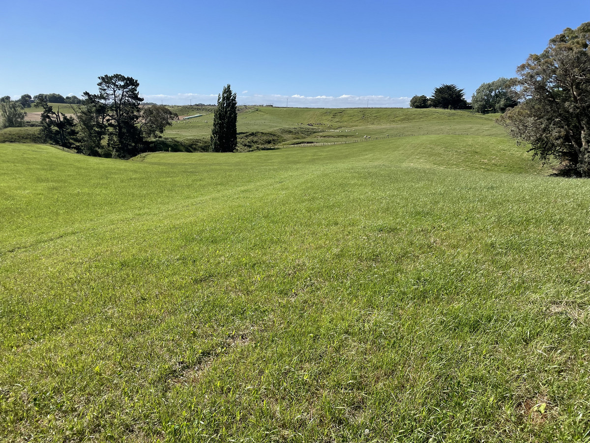 Well Located Finishing Country With 3 Purchase Options - 116.5ha