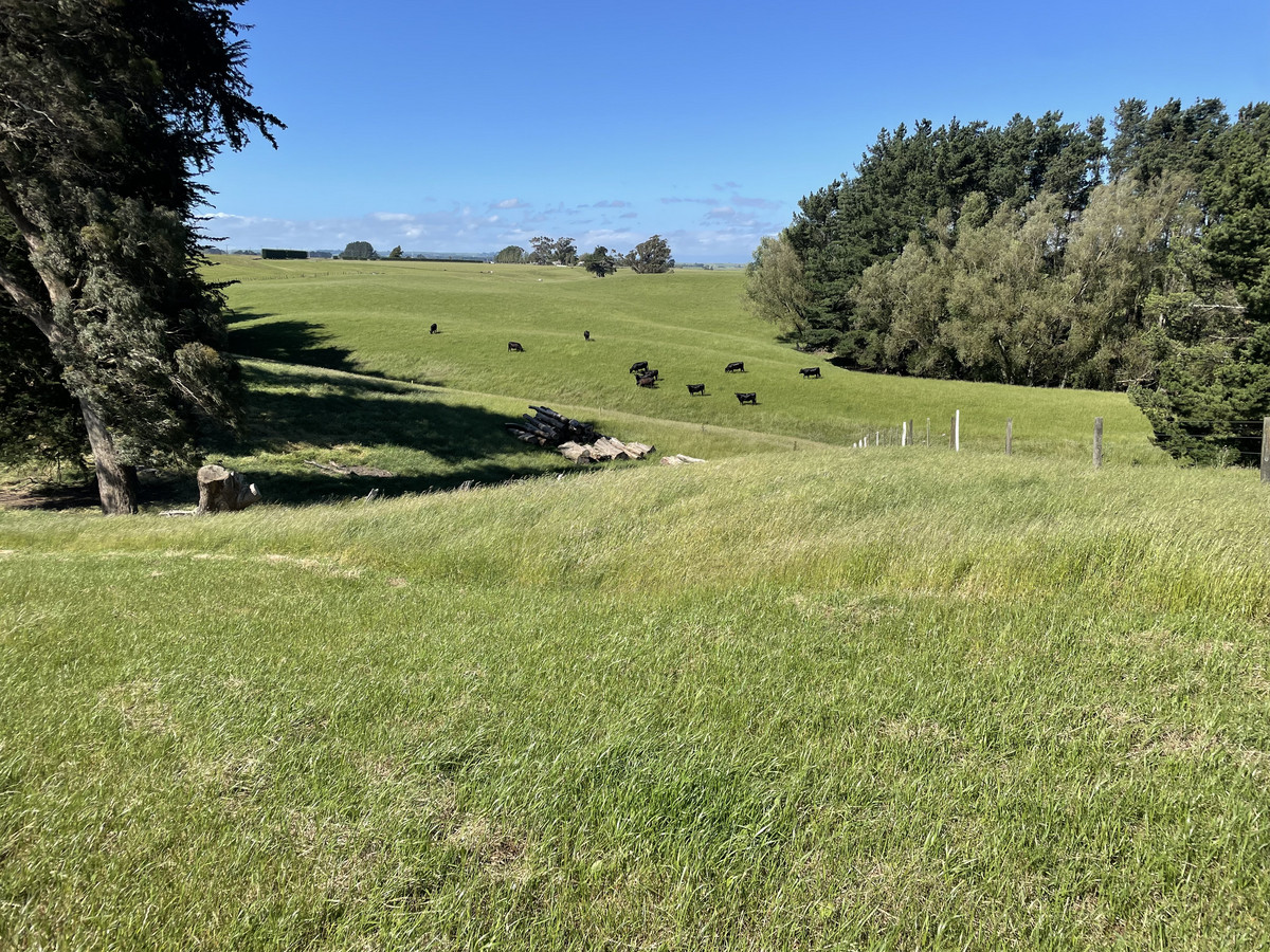 Well Located Finishing Country With 3 Purchase Options - 116.5ha