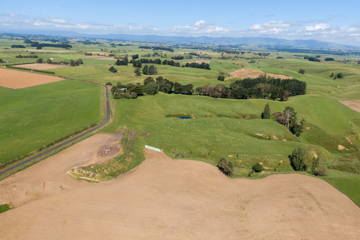 Well Located Finishing Country With 3 Purchase Options - 116.5ha