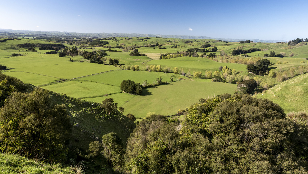 An Attractive Farm in a Premium Location