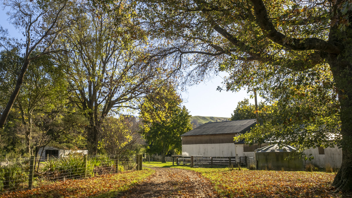An Attractive Farm in a Premium Location