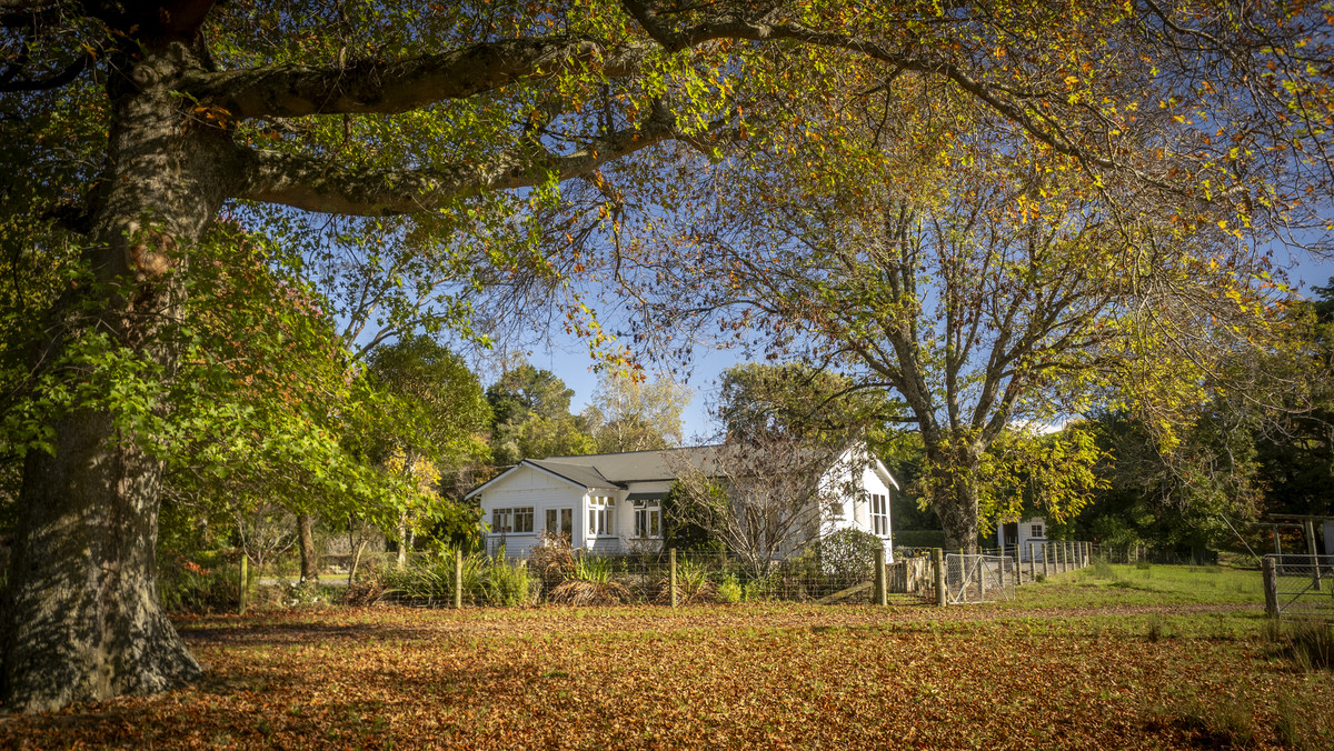 An Attractive Farm in a Premium Location