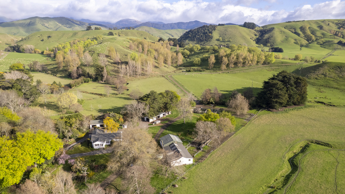An Attractive Farm in a Premium Location
