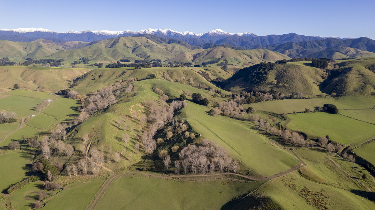 An Attractive Farm in a Premium Location