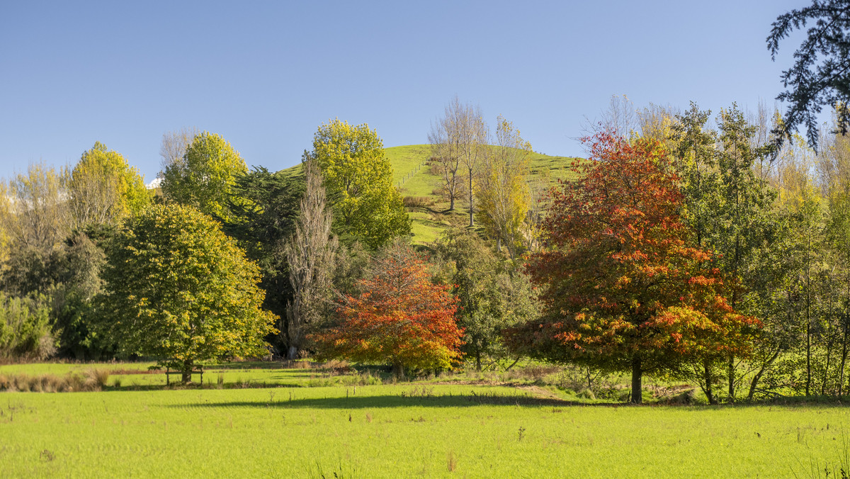 An Attractive Farm in a Premium Location