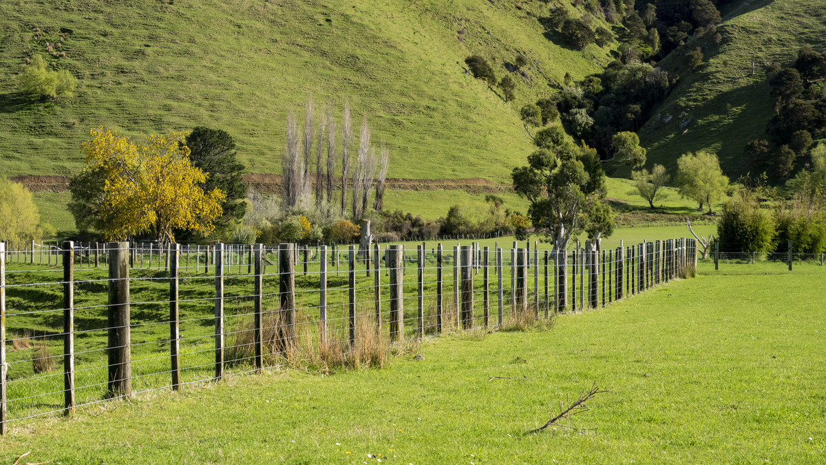 An Attractive Farm in a Premium Location