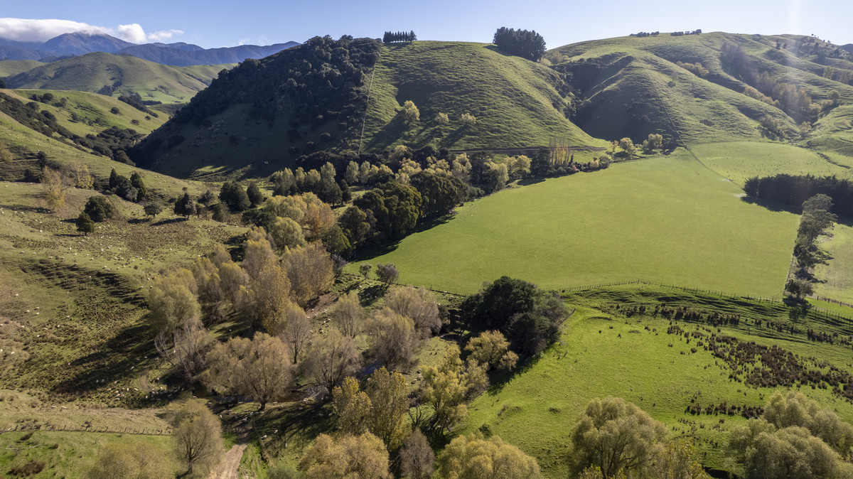 An Attractive Farm in a Premium Location