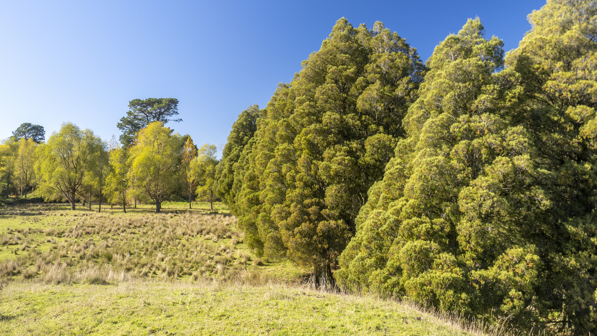 An Attractive Farm in a Premium Location