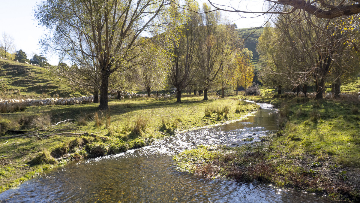 An Attractive Farm in a Premium Location
