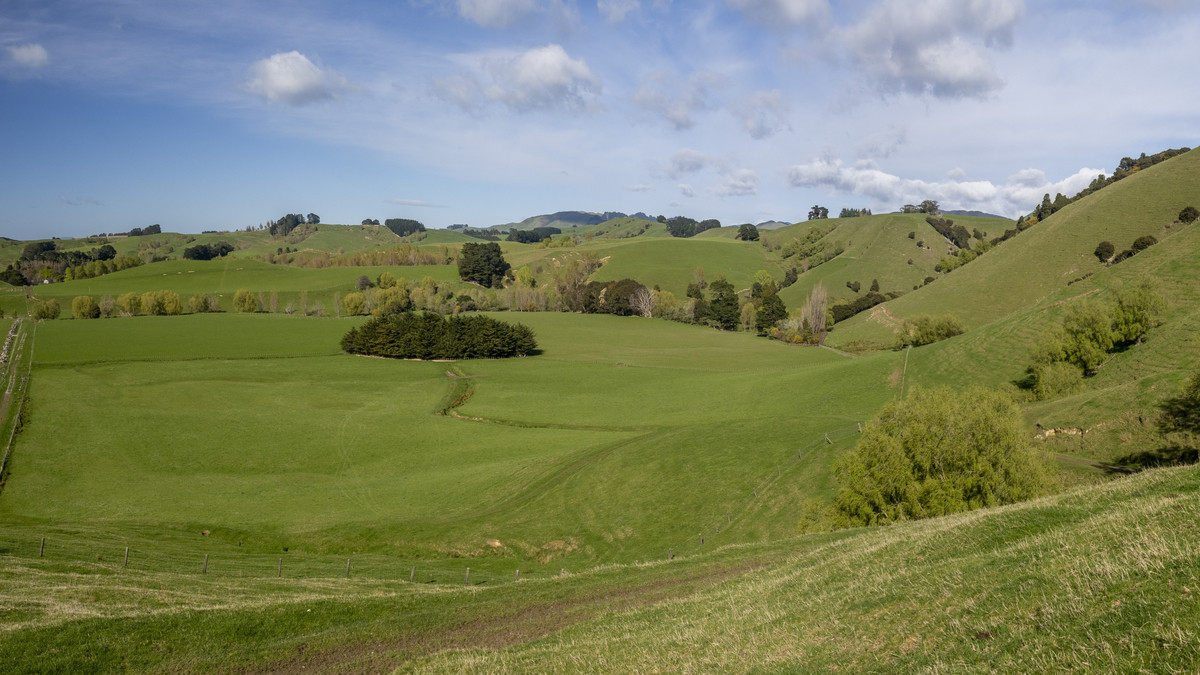 An Attractive Farm in a Premium Location
