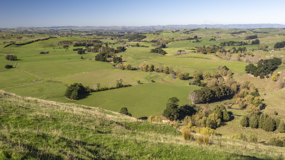 An Attractive Farm in a Premium Location