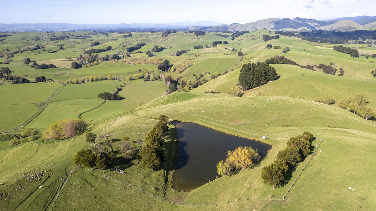 An Attractive Farm in a Premium Location