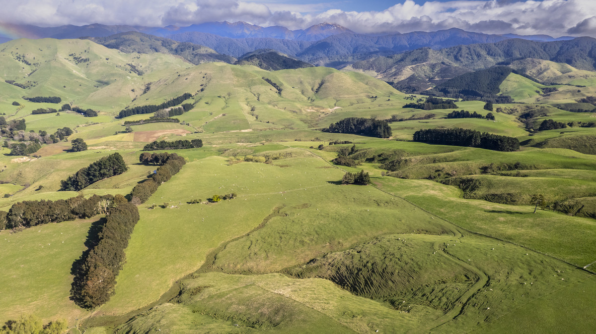 An Attractive Farm in a Premium Location