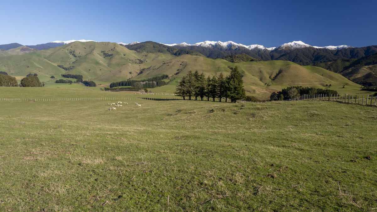 An Attractive Farm in a Premium Location