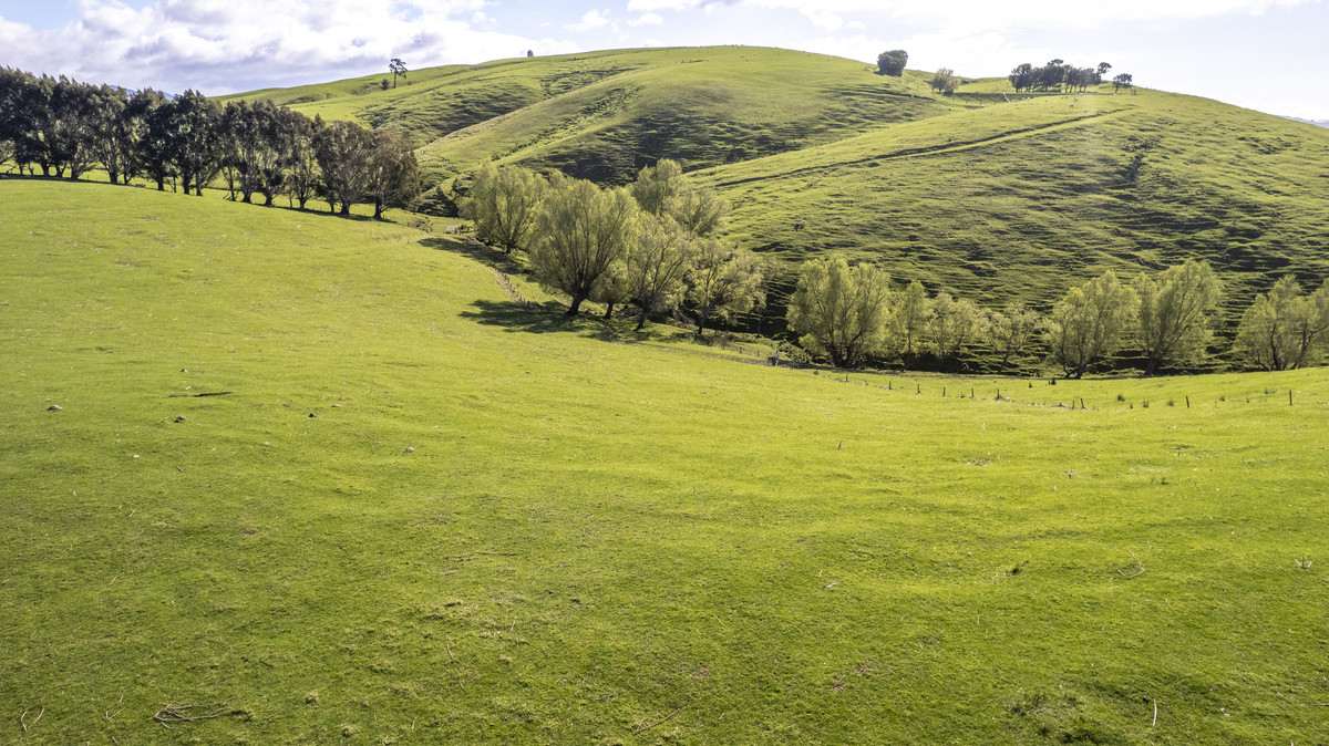 An Attractive Farm in a Premium Location