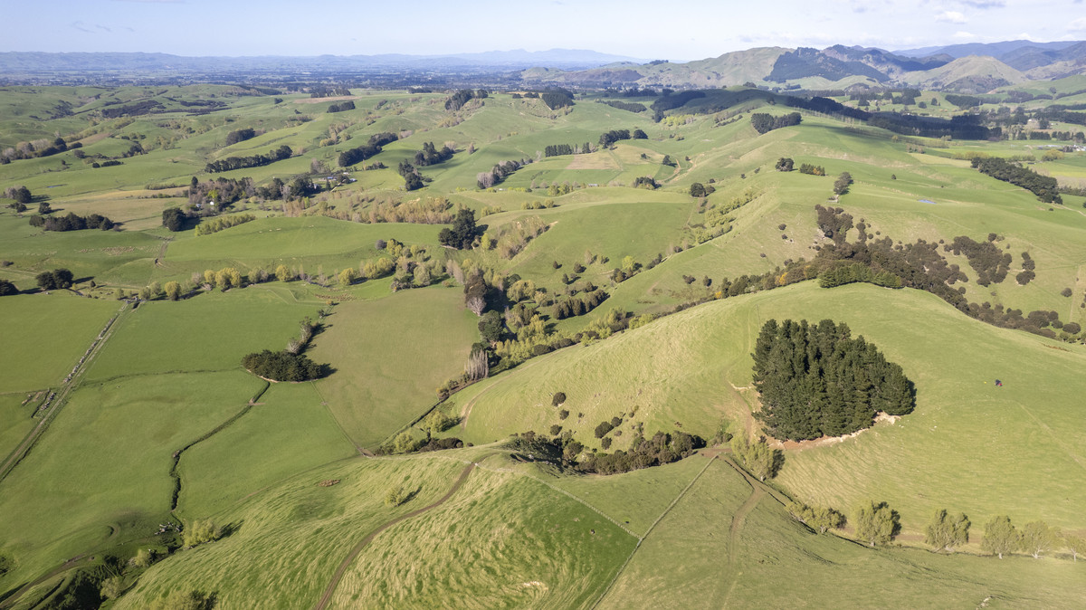 An Attractive Farm in a Premium Location