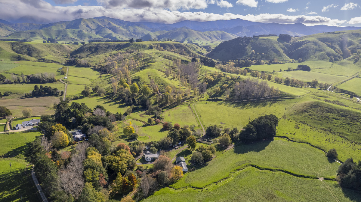 An Attractive Farm in a Premium Location