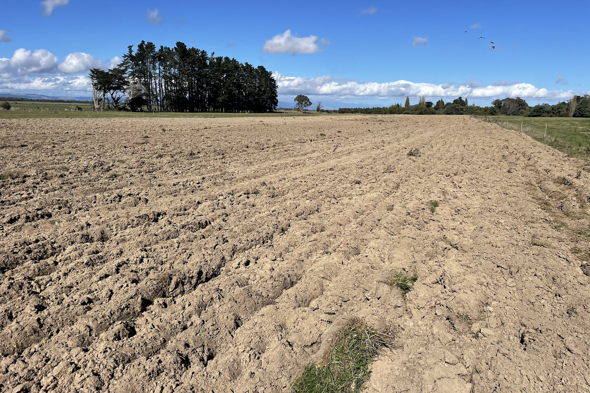 Bareland Finishing Block - 20.93 ha (sts)