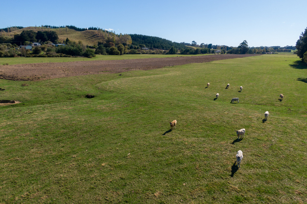 Bareland Finishing Block - 20.93 ha (sts)