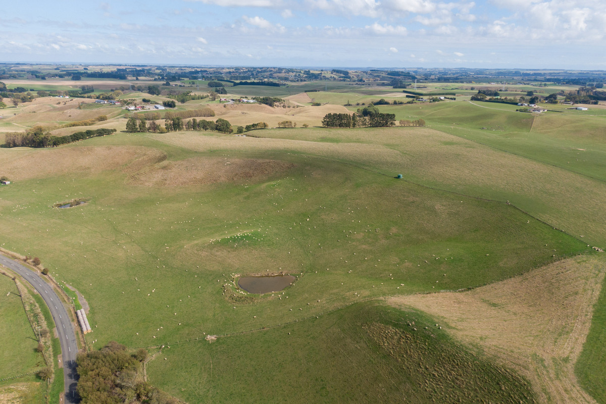 Bareland Opportunity - 55.1 hectares