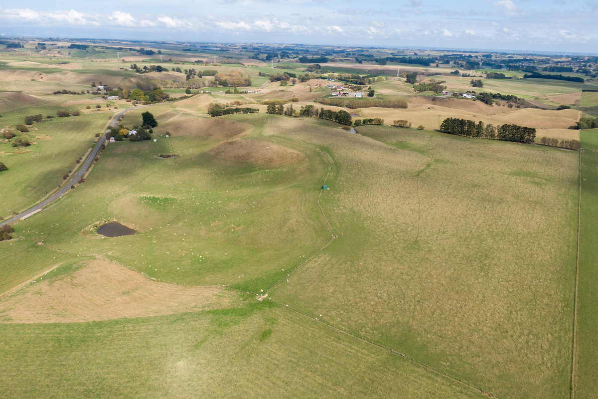 Bareland Opportunity - 55.1 hectares
