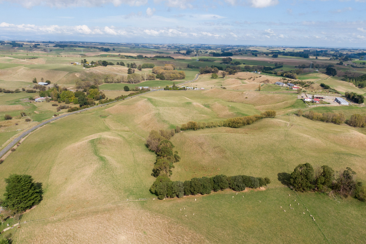 Bareland Opportunity - 55.1 hectares