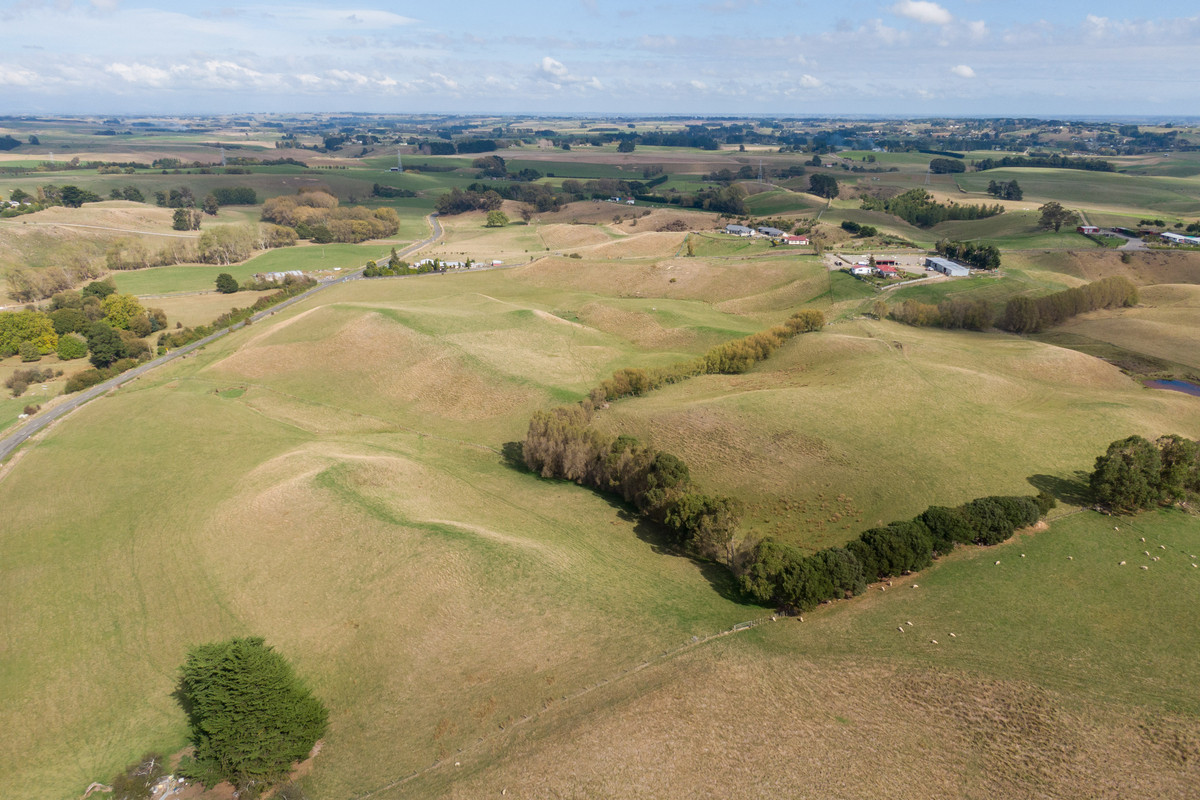 Bareland Opportunity - 55.1 hectares