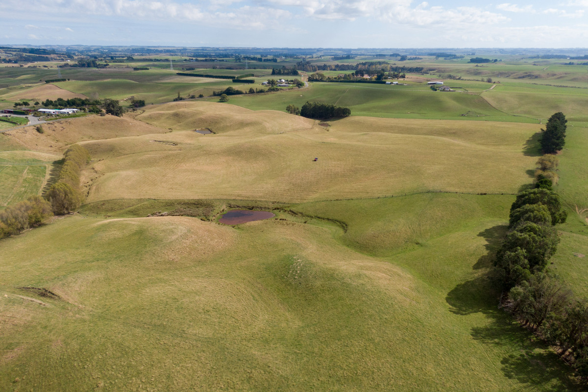 Bareland Opportunity - 55.1 hectares