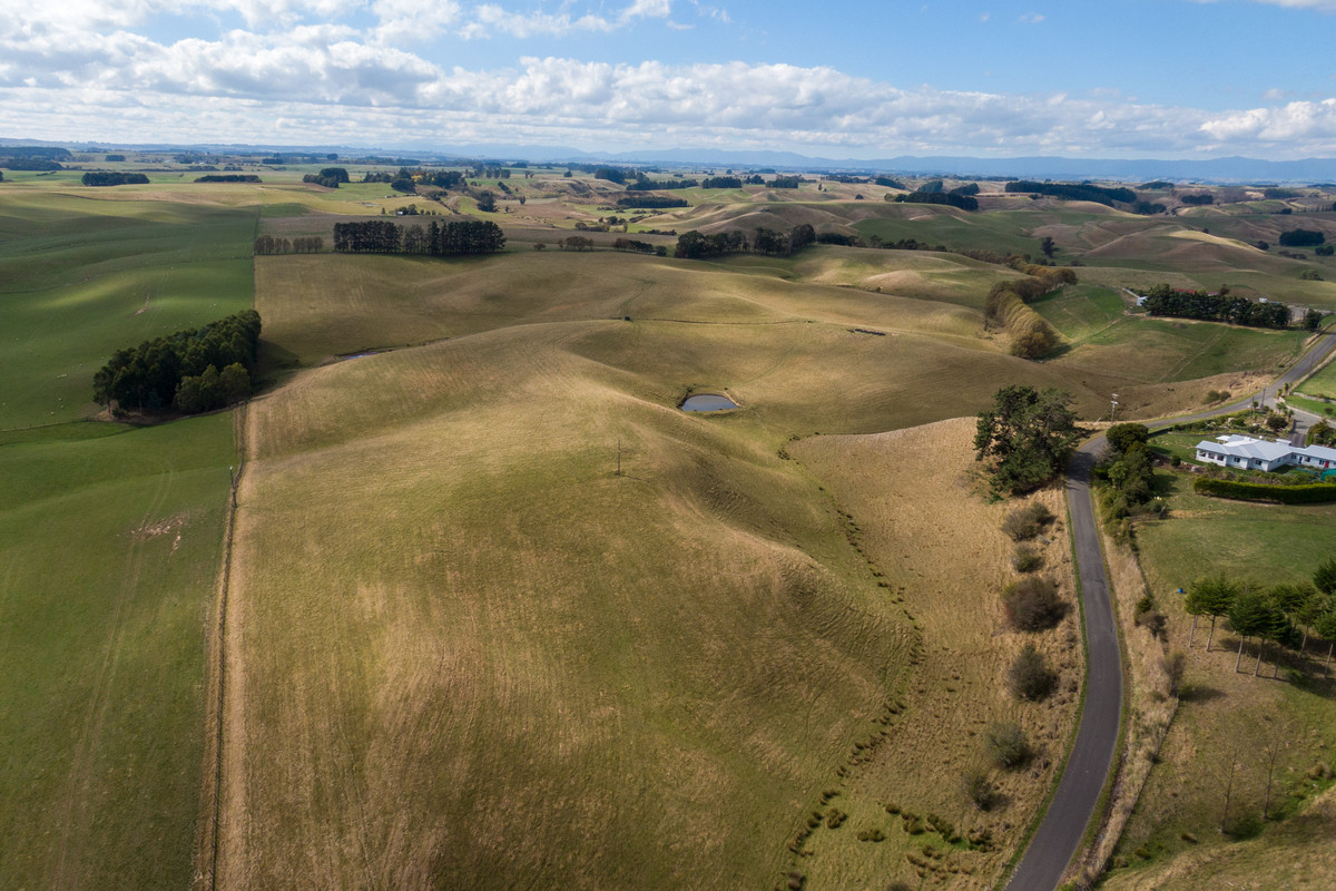 Bareland Opportunity - 55.1 hectares