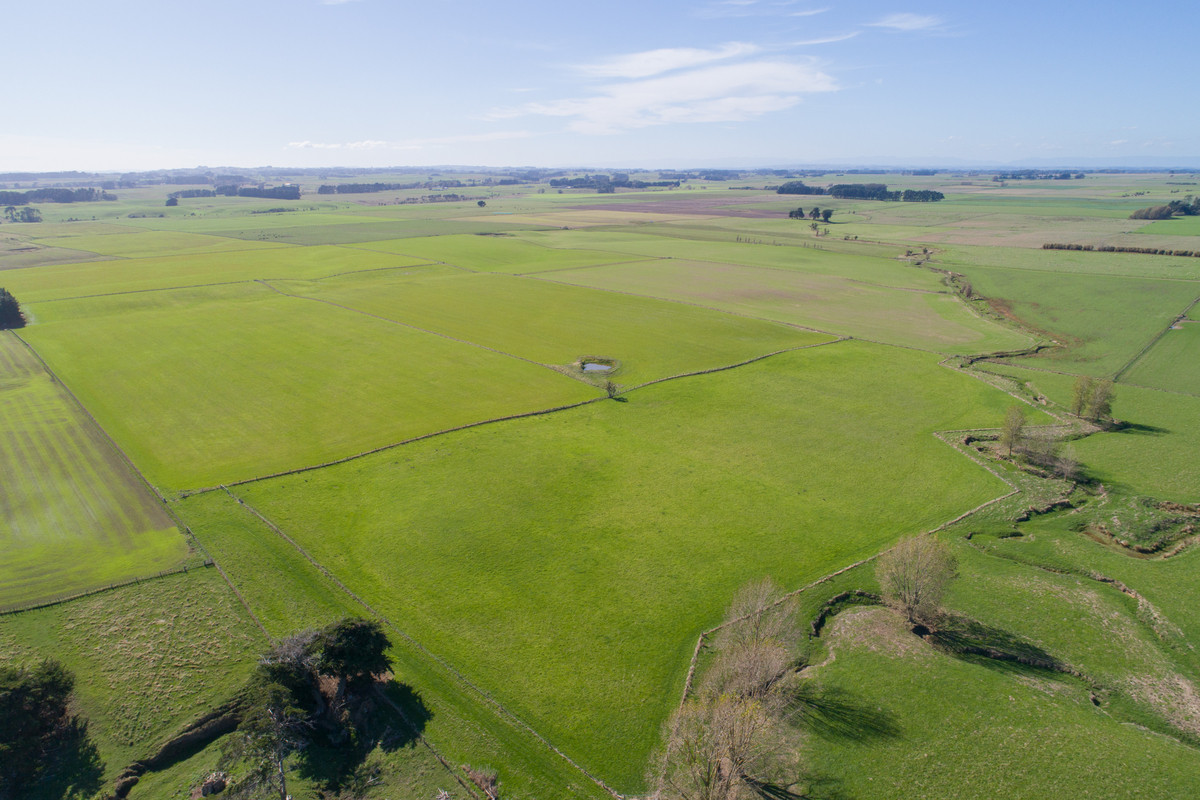 Quality Finishing & Cropping Country - 123.2 Ha