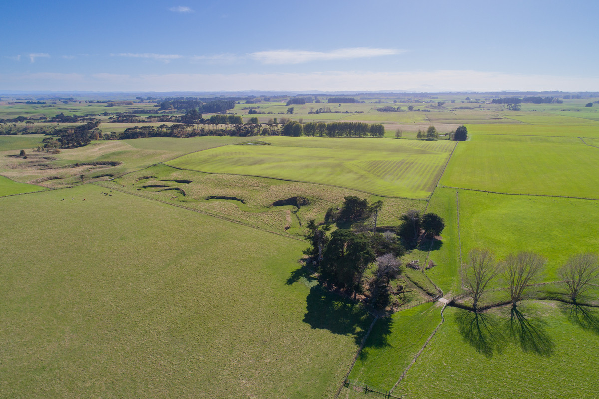 Quality Finishing & Cropping Country - 123.2 Ha