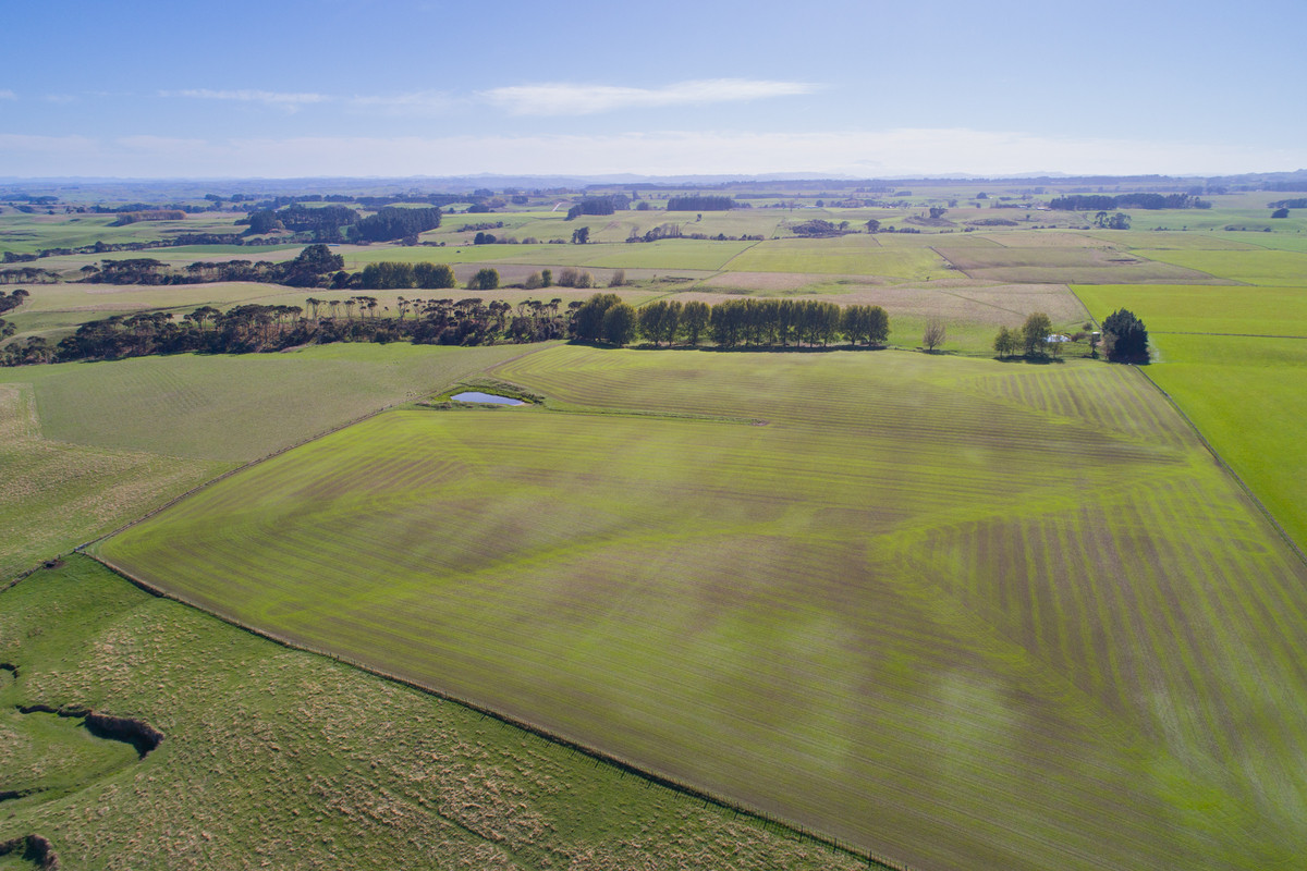 Quality Finishing & Cropping Country - 123.2 Ha