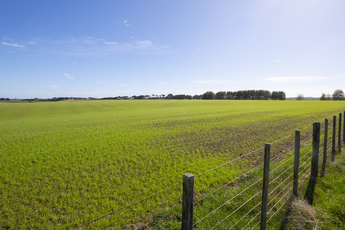 Quality Finishing & Cropping Country - 123.2 Ha