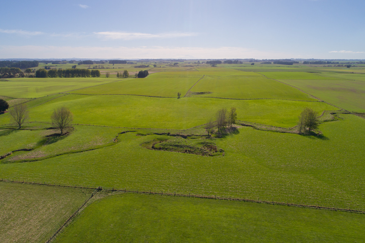 Quality Finishing & Cropping Country - 123.2 Ha