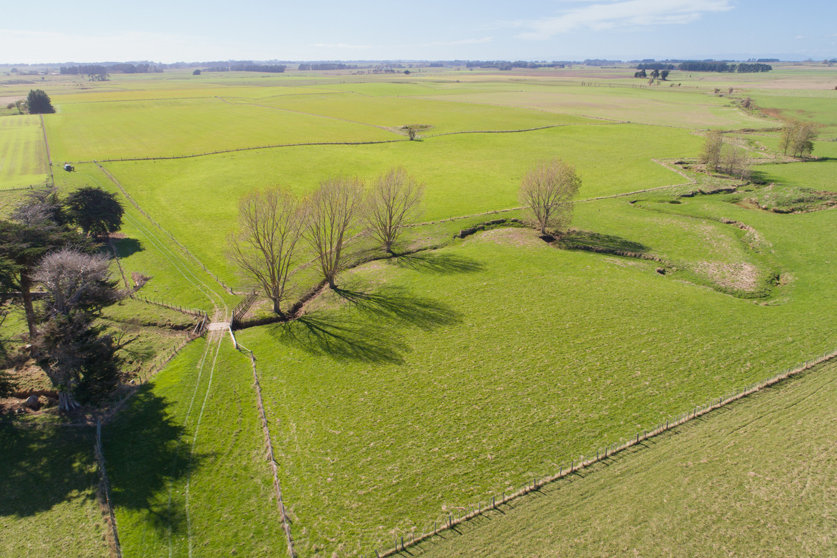 Quality Finishing & Cropping Country - 123.2 Ha
