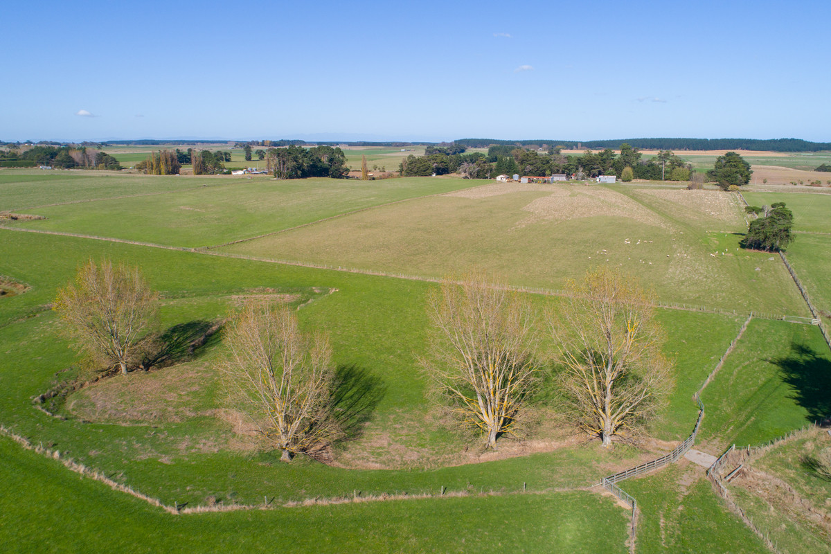 Quality Finishing & Cropping Country - 123.2 Ha