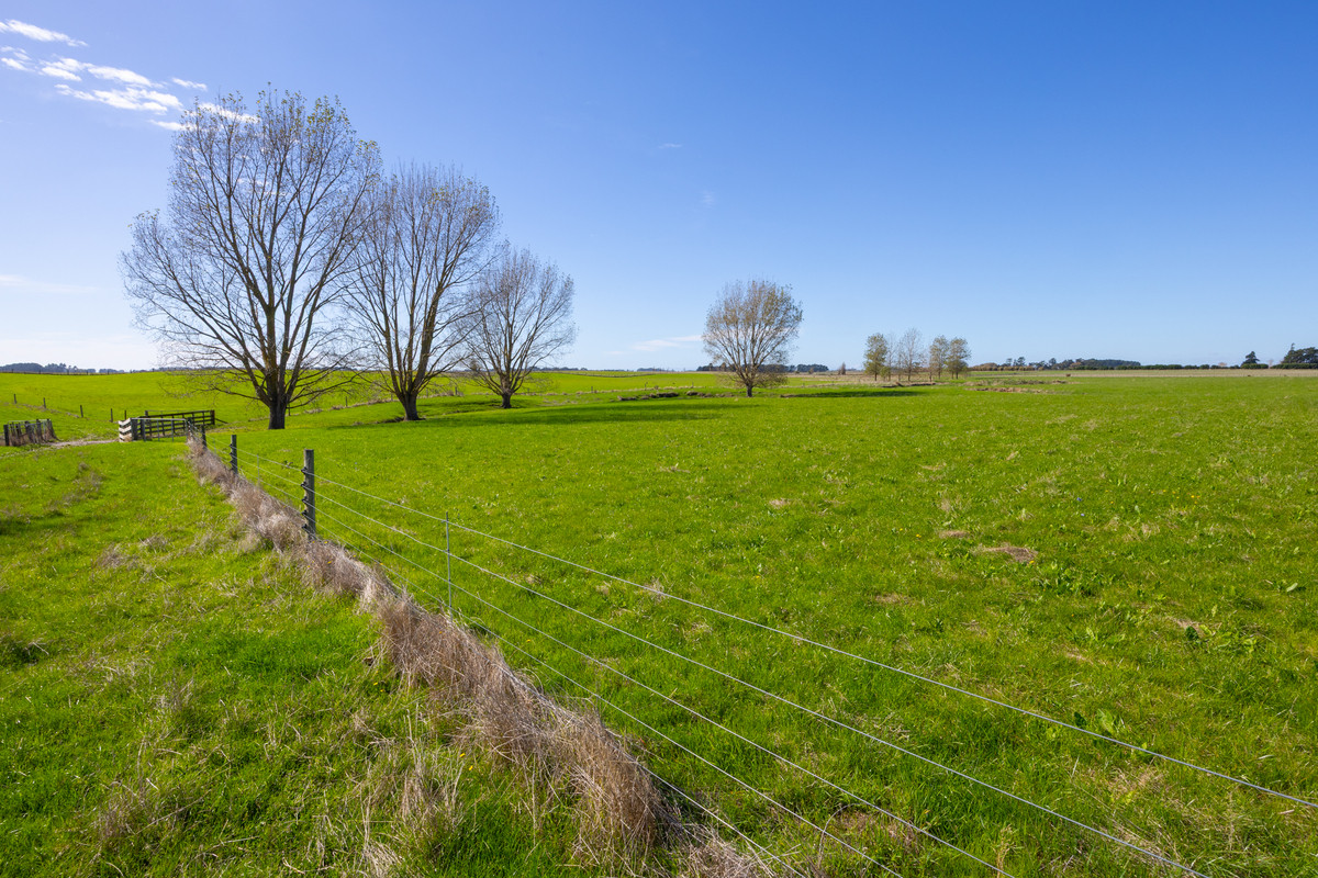 Quality Finishing & Cropping Country - 123.2 Ha