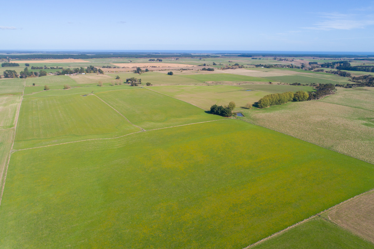 Quality Finishing & Cropping Country - 123.2 Ha