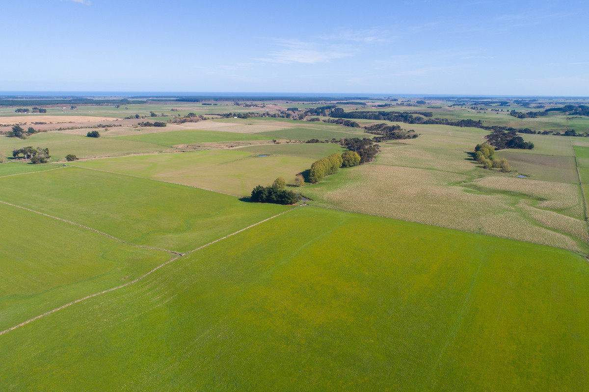 Quality Finishing & Cropping Country - 123.2 Ha