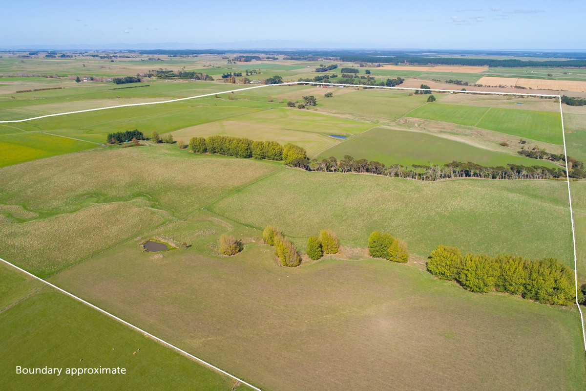 Quality Finishing & Cropping Country - 123.2 Ha