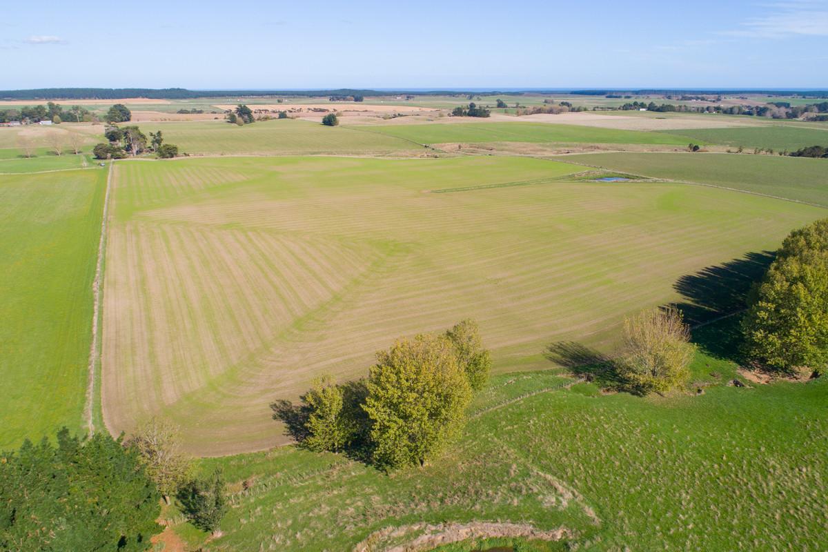Quality Finishing & Cropping Country - 123.2 Ha