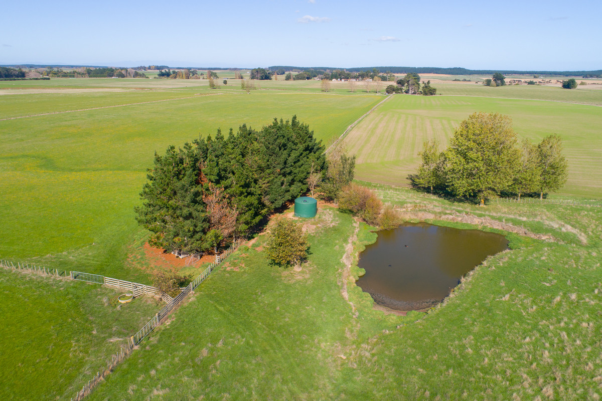 Quality Finishing & Cropping Country - 123.2 Ha