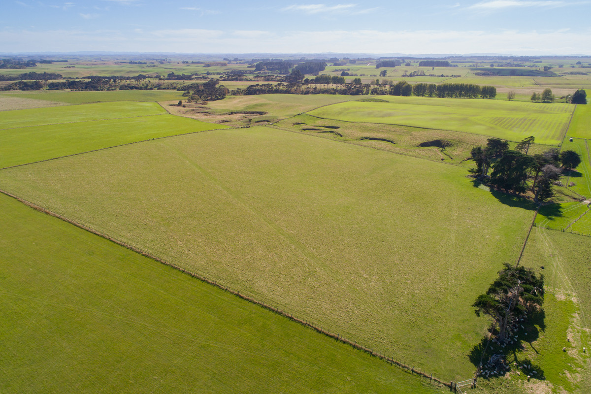 Quality Finishing & Cropping Country - 123.2 Ha