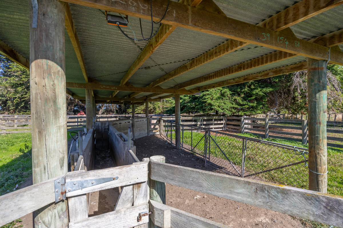 Quality Finishing & Cropping Country - 123.2 Ha