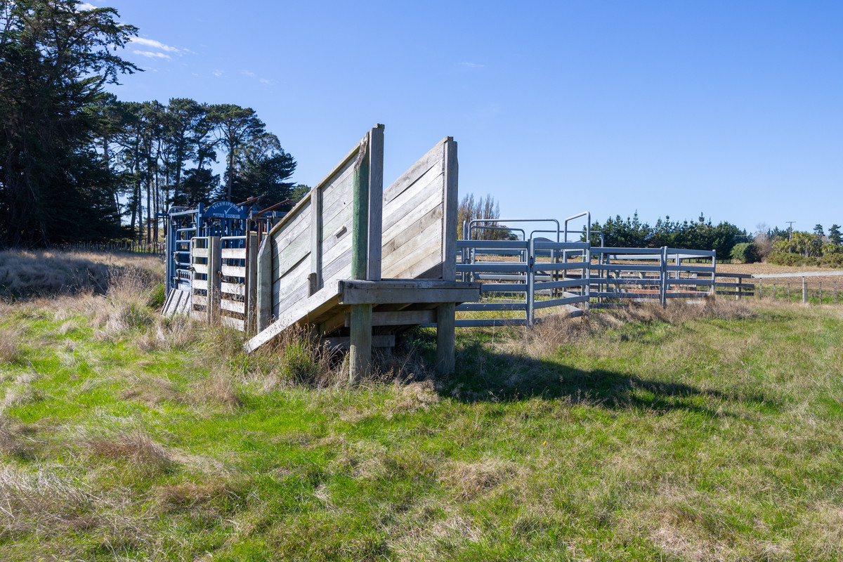 Quality Finishing & Cropping Country - 123.2 Ha