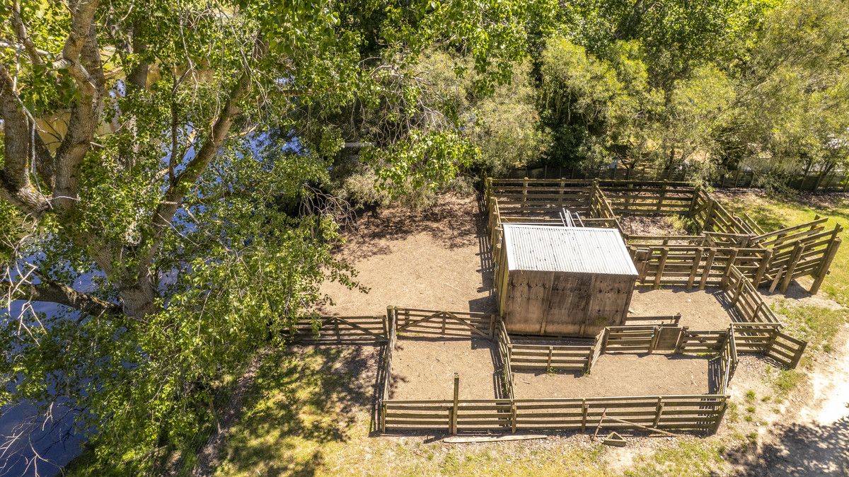 “Lady on the Lake” – Little Hills