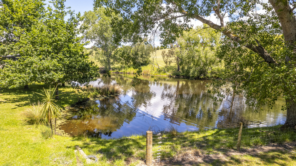 “Lady on the Lake” – Little Hills