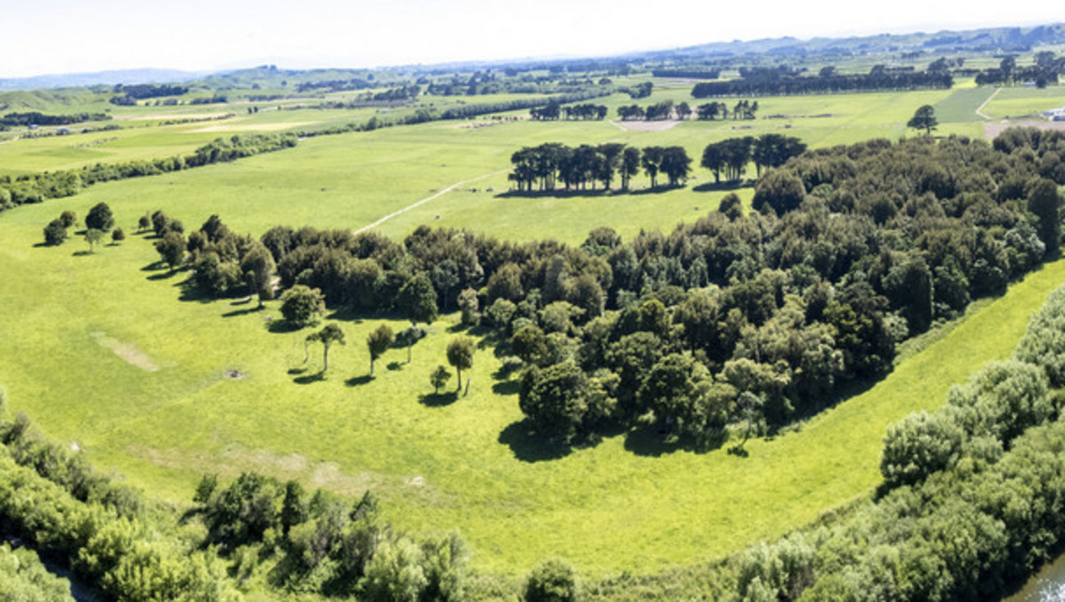 Right Size, Right Place with Quality Soils