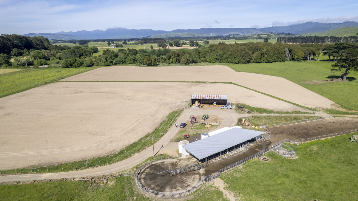 Right Size, Right Place with Quality Soils